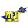 NED Hockey Nymburk