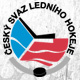 Reprezentace se může opřít i o pardubické hokejisty