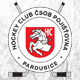 Fanou�ci rozhodli: nejv�t�� ud�lost� roku 2011 je Hockey Open Air Game